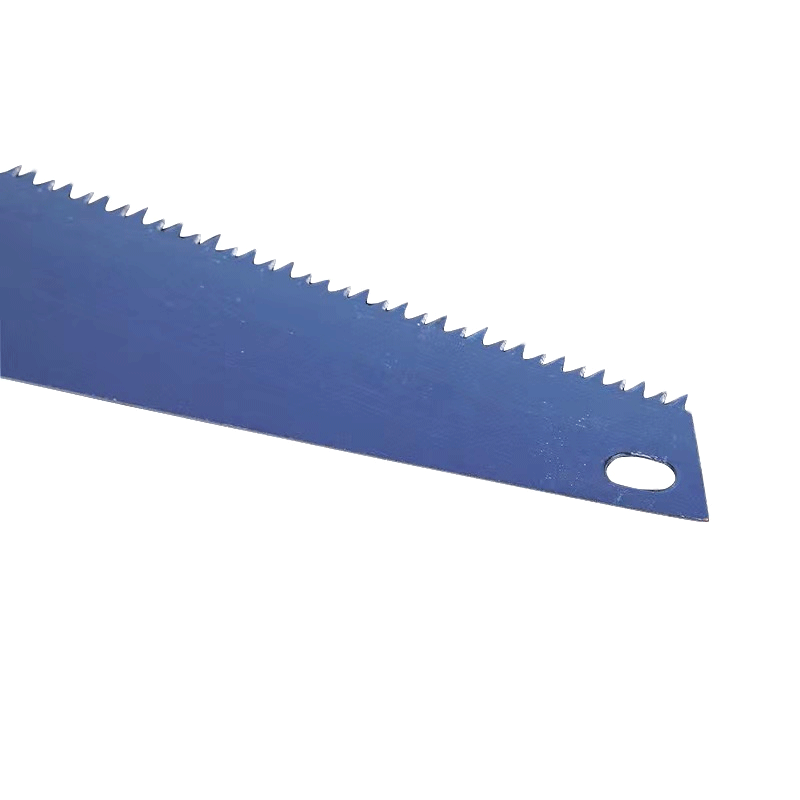 美女的隐藏部位是什么图片