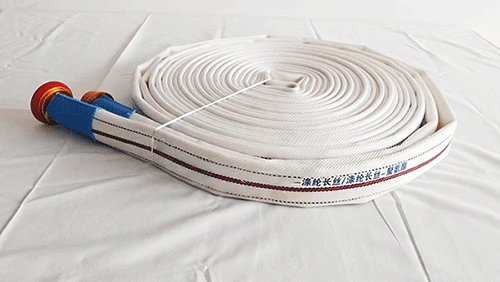 美女的隐藏部位是什么图片