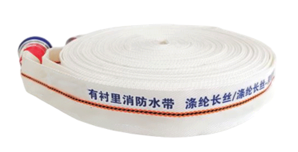 美女的隐藏部位是什么图片