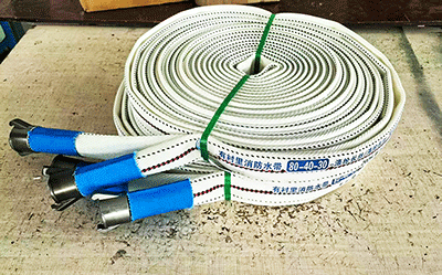 美女的隐藏部位是什么图片