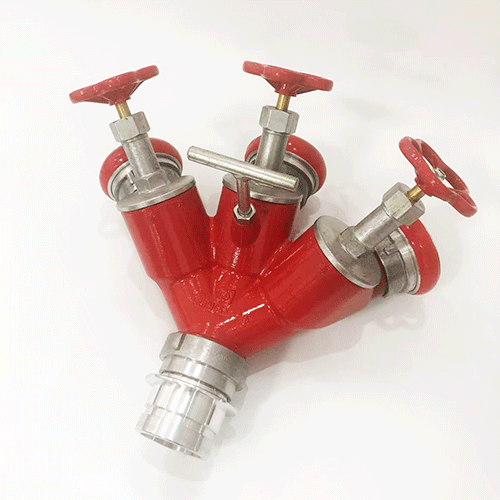 美女的隐藏部位是什么图片