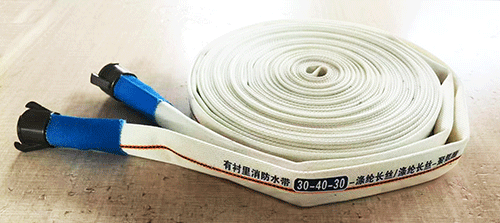 美女的隐藏部位是什么图片