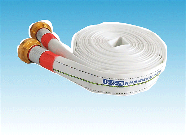 美女的隐藏部位是什么图片