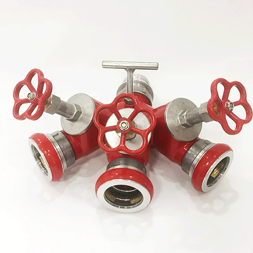 美女的隐藏部位是什么图片