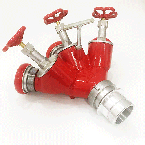 美女的隐藏部位是什么图片