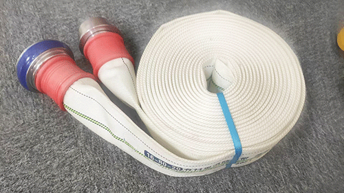 美女的隐藏部位是什么图片