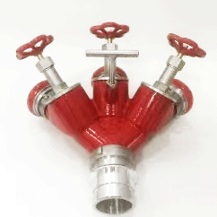 美女的隐藏部位是什么图片