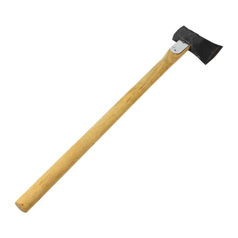 美女的隐藏部位是什么图片