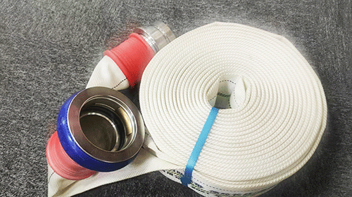 美女的隐藏部位是什么图片