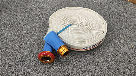 美女的隐藏部位是什么图片