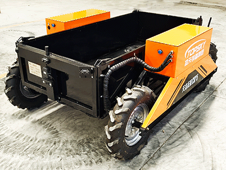 美女的隐藏部位是什么图片