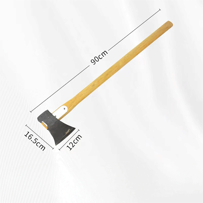 美女的隐藏部位是什么图片