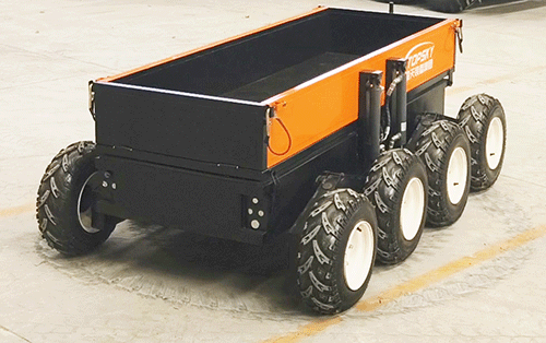 美女的隐藏部位是什么图片