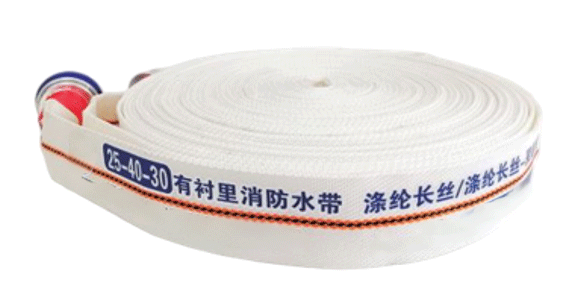 美女的隐藏部位是什么图片