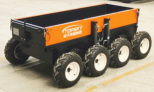 美女的隐藏部位是什么图片