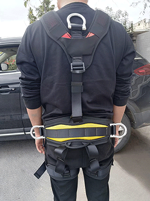 美女的隐藏部位是什么图片