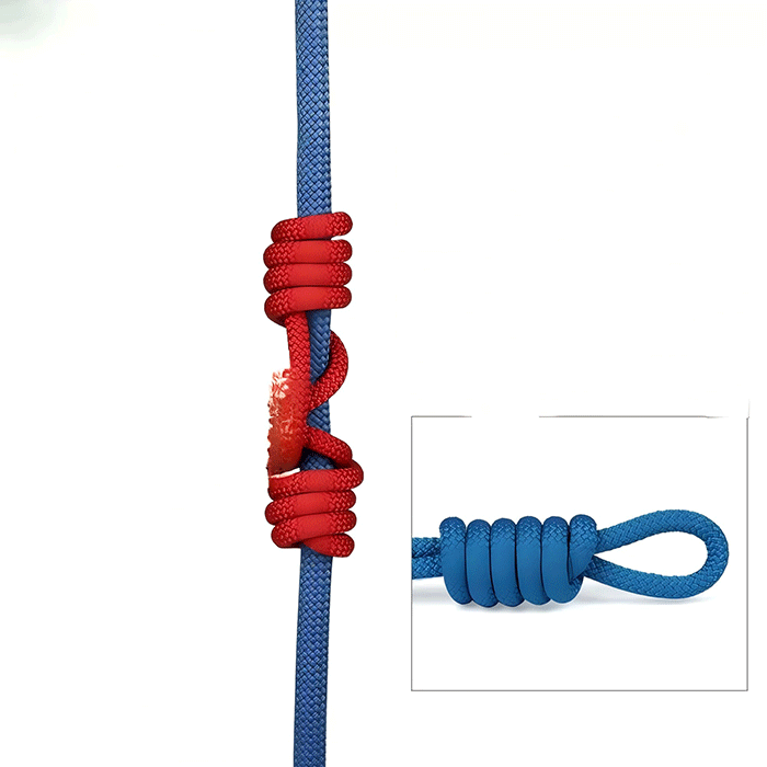 美女的隐藏部位是什么图片