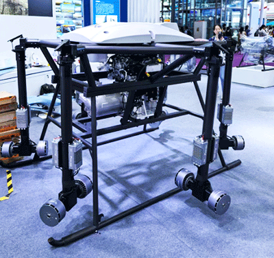 美女的隐藏部位是什么图片