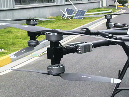 美女的隐藏部位是什么图片