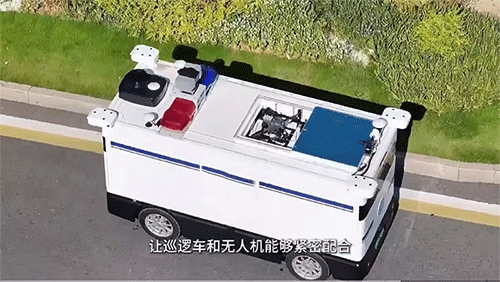 美女的隐藏部位是什么图片