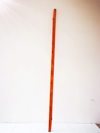 美女的隐藏部位是什么图片