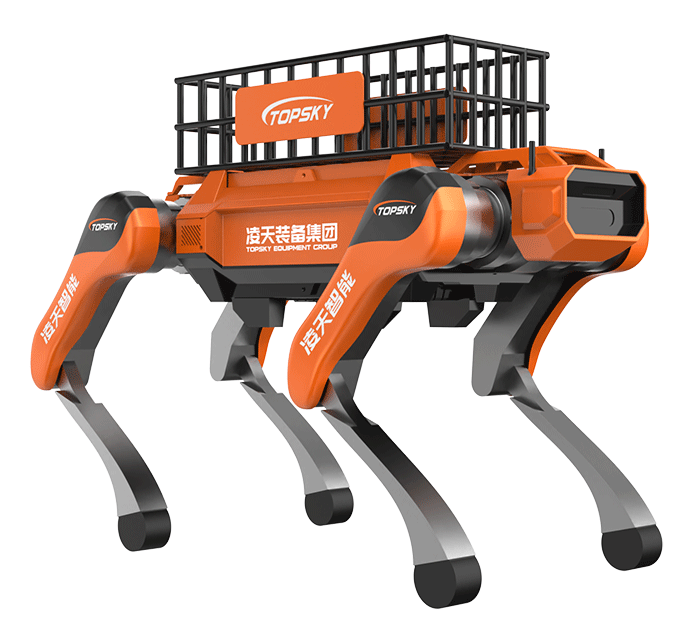 美女的隐藏部位是什么图片