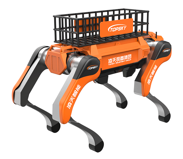 美女的隐藏部位是什么图片