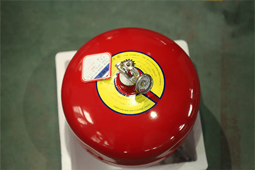 美女的隐藏部位是什么图片