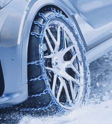 美女的隐藏部位是什么图片