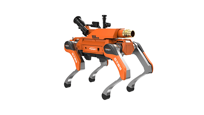 美女的隐藏部位是什么图片