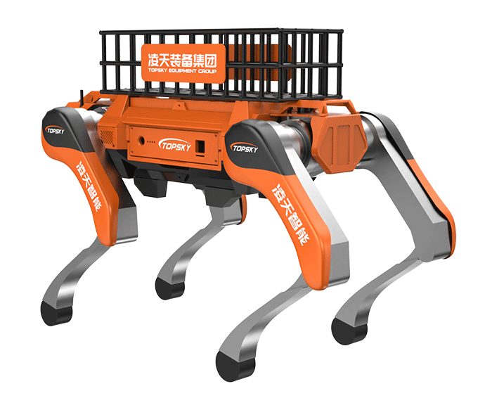 美女的隐藏部位是什么图片