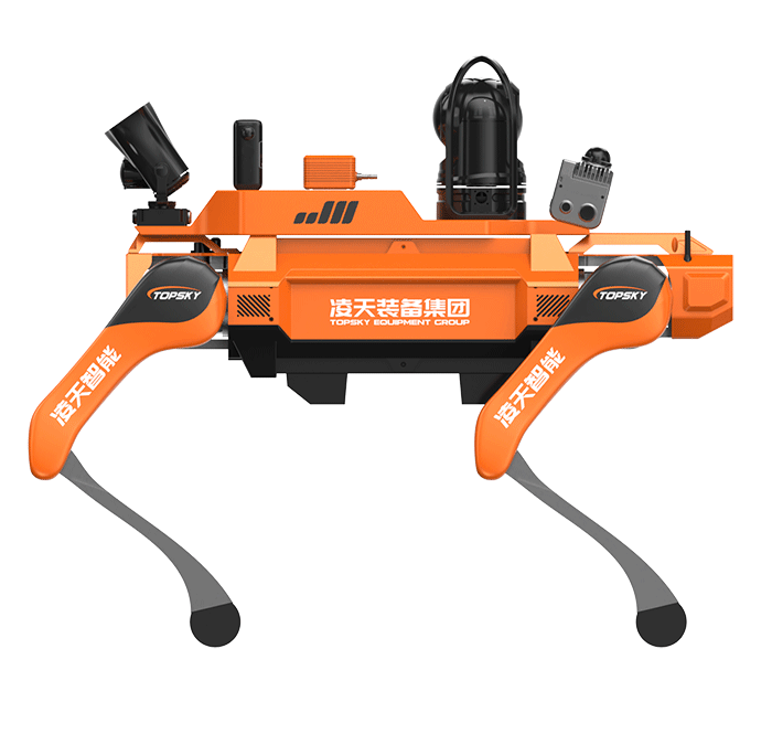 美女的隐藏部位是什么图片