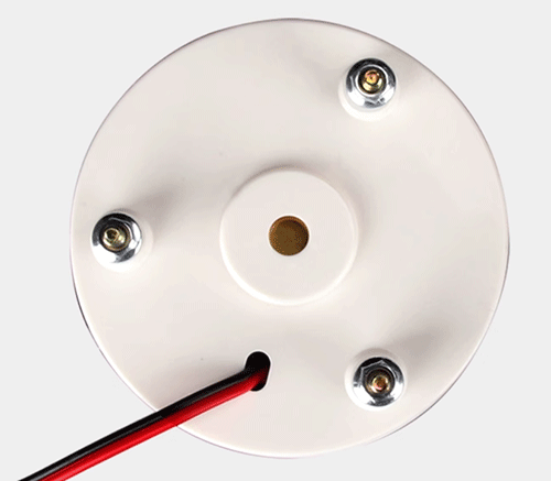 美女的隐藏部位是什么图片