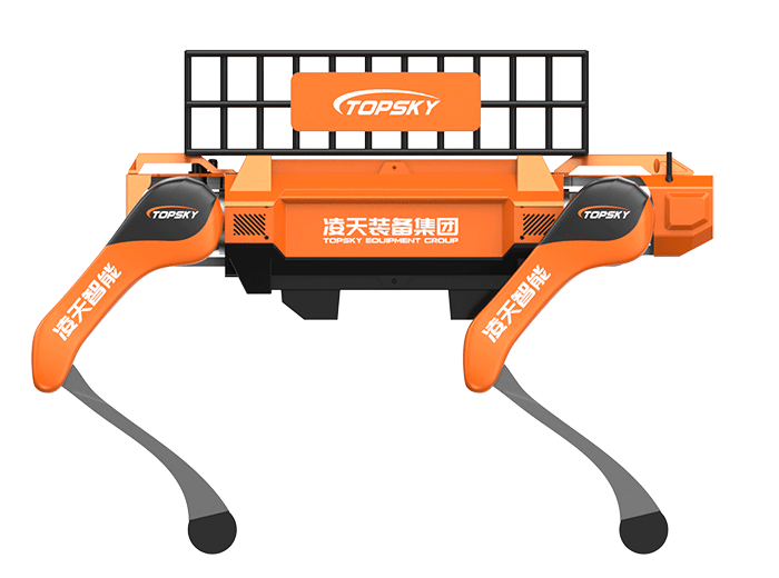 美女的隐藏部位是什么图片