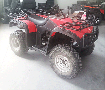 美女的隐藏部位是什么图片