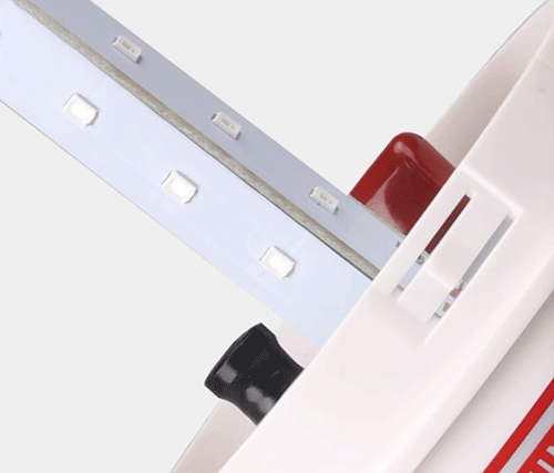 美女的隐藏部位是什么图片