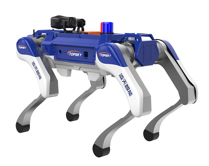 美女的隐藏部位是什么图片