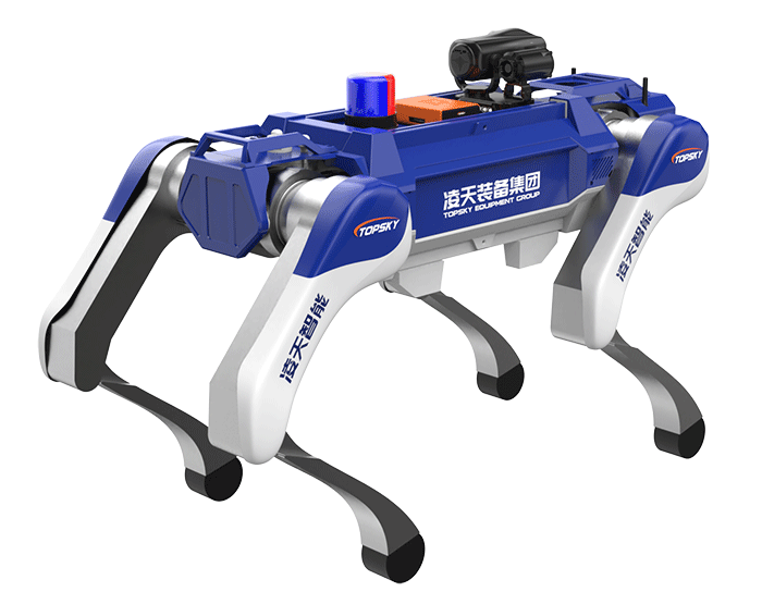 美女的隐藏部位是什么图片