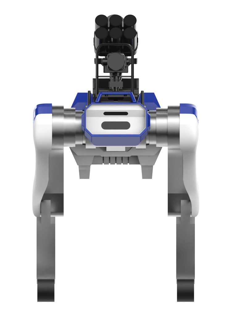 美女的隐藏部位是什么图片