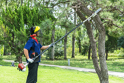 1756967227477488.png 图片2.png