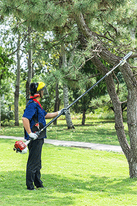 美女的隐藏部位是什么图片