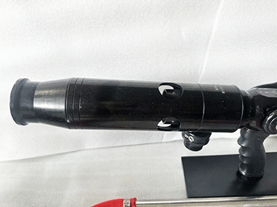 美女的隐藏部位是什么图片