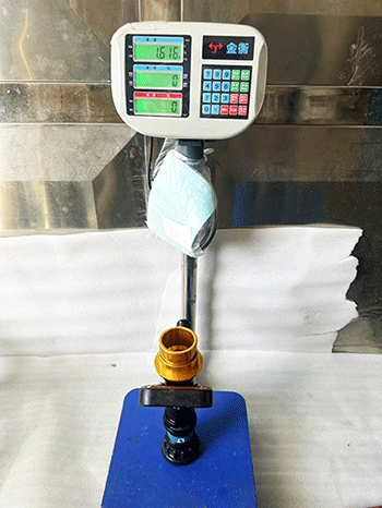 美女的隐藏部位是什么图片