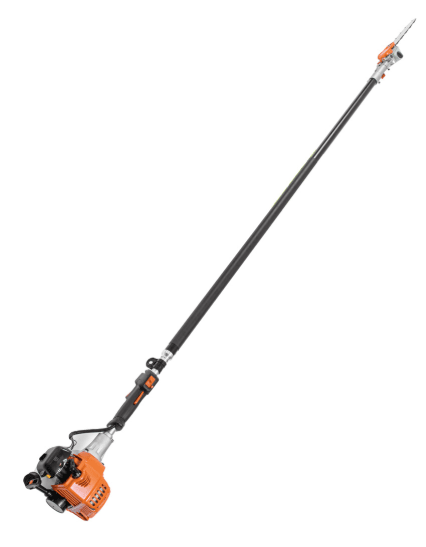 美女的隐藏部位是什么图片