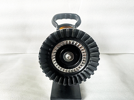 美女的隐藏部位是什么图片