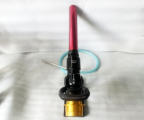 美女的隐藏部位是什么图片