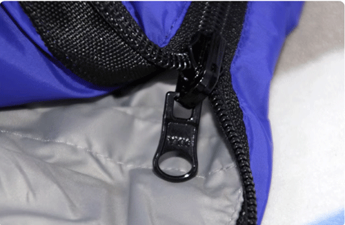 美女的隐藏部位是什么图片