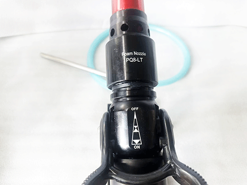 美女的隐藏部位是什么图片