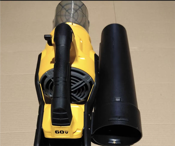 美女的隐藏部位是什么图片