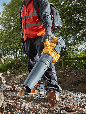 美女的隐藏部位是什么图片